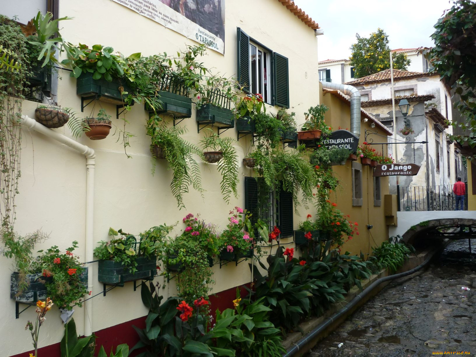 , , , , portugal, madeira, funchal